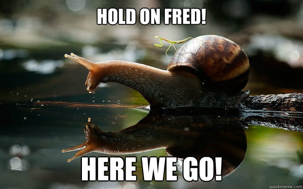 Hold on Fred! Here we go! - Hold on Fred! Here we go!  Snail mount