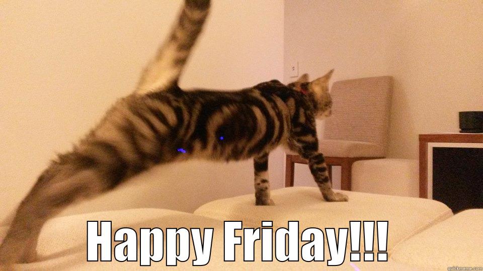  HAPPY FRIDAY!!! Misc