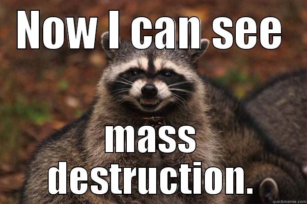 NOW I CAN SEE MASS DESTRUCTION. Evil Plotting Raccoon