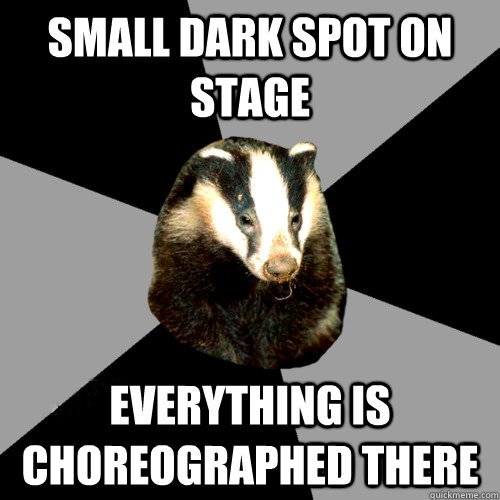 small dark spot on stage everything is choreographed there  Backstage Badger
