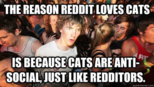 The reason reddit loves cats is because cats are anti-social, just like redditors.  Sudden Clarity Clarence