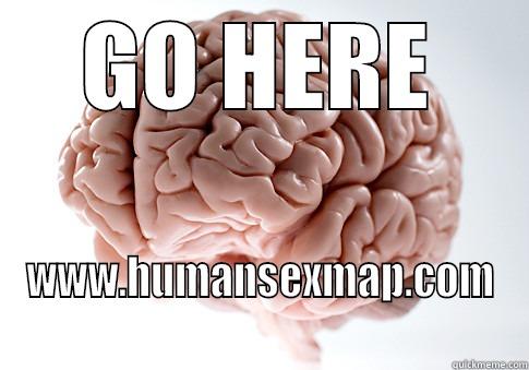 GO HERE WWW.HUMANSEXMAP.COM Scumbag Brain