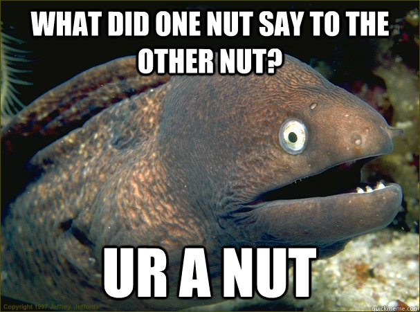 what did one nut say to the other nut? ur a nut  Bad Joke Eel
