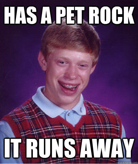 Has a Pet rock it runs away - Has a Pet rock it runs away  Bad Luck Brian