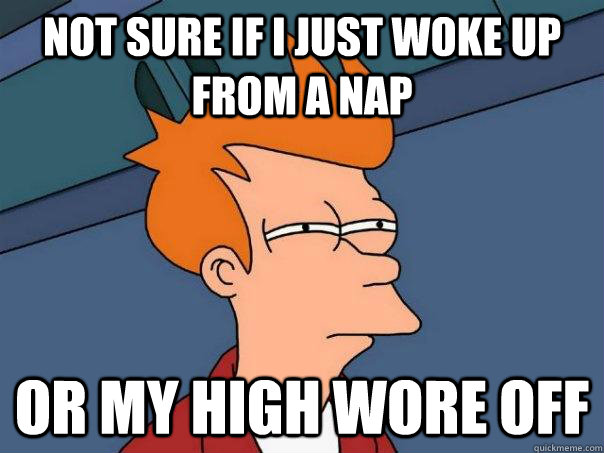 Not sure if i just woke up from a nap  Or my high wore off  Futurama Fry