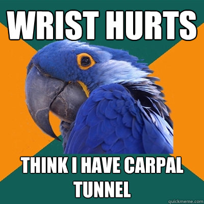 Wrist hurts Think I have carpal tunnel  Paranoid Parrot