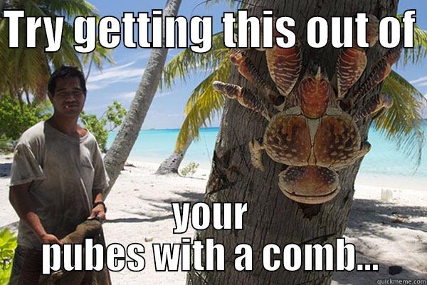 TRY GETTING THIS OUT OF  YOUR PUBES WITH A COMB... Misc