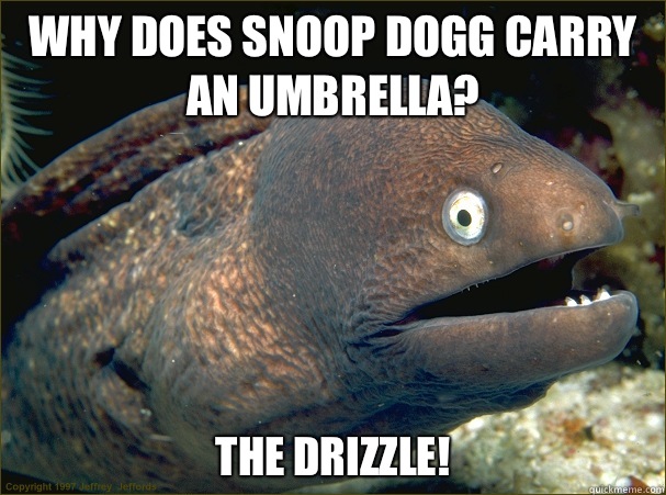 Why does Snoop Dogg carry an umbrella? The drizzle!  Bad Joke Eel