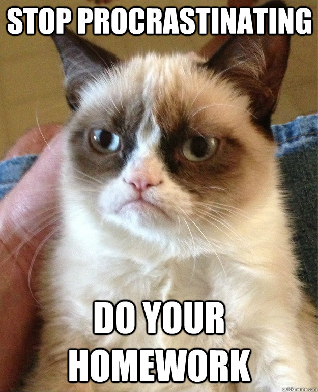 stop procrastinating Do your homework  Grumpy Cat
