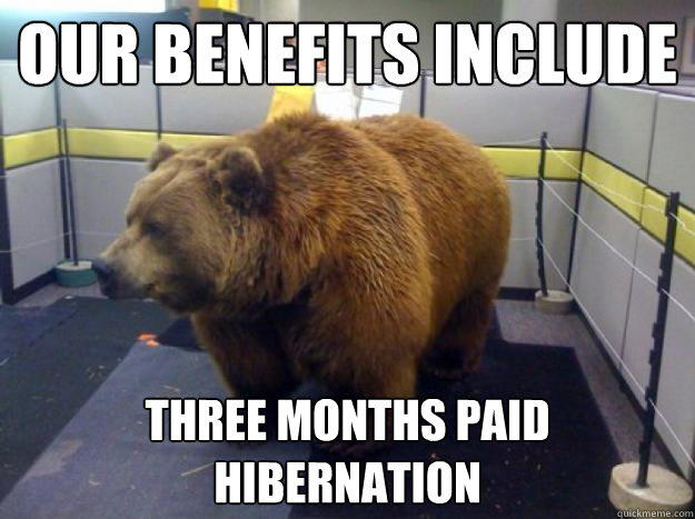 Our benefits include  three months paid hibernation - Our benefits include  three months paid hibernation  Office Grizzly