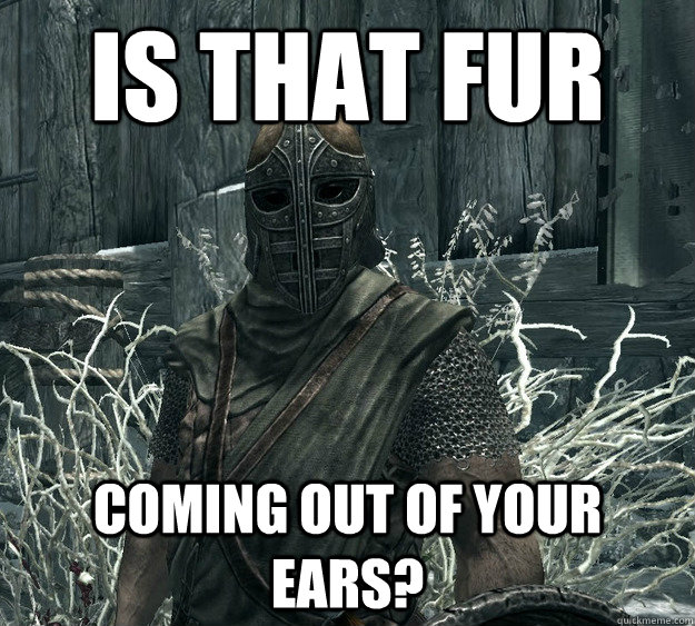 Is that fur coming out of your ears?  Skyrim Guard