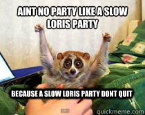 Aint no party like a slow loris party because a slow loris party dont quit  American Studies Slow Loris