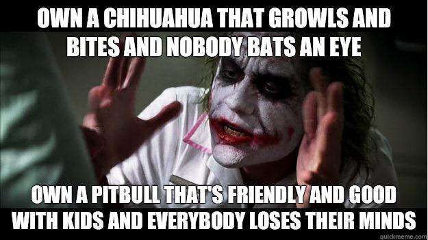 Own a Chihuahua that growls and bites and nobody bats an eye Own a pitbull that's friendly and good with kids and everybody loses their minds  Joker Mind Loss