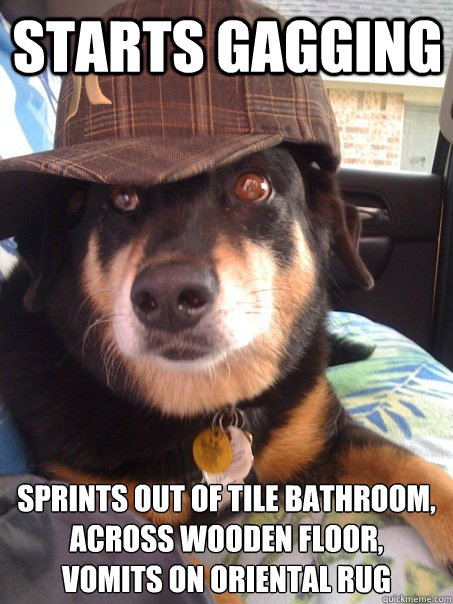 Starts gagging sprints out of tile bathroom, across wooden floor, 
vomits on oriental rug  Scumbag dog