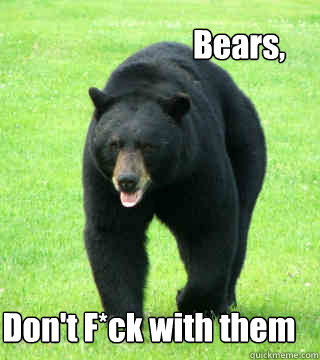 Bears, Don't F*ck with them - Bears, Don't F*ck with them  BEARS