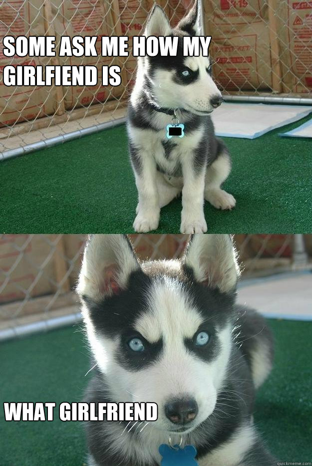 some ask me how my girlfiend is what girlfriend  Insanity puppy