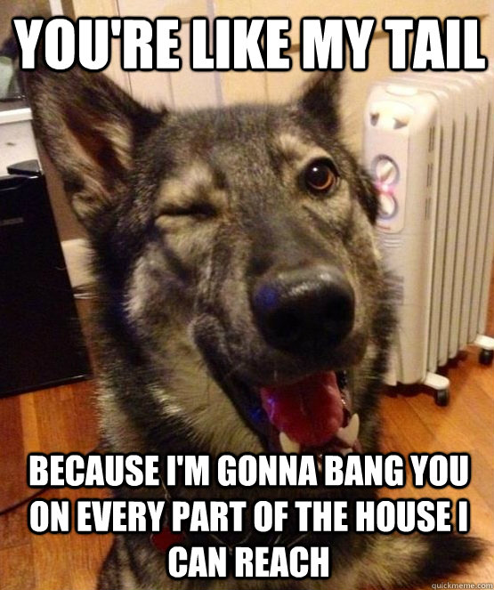 You're like my tail Because I'm gonna bang you on every part of the house I can reach  Pickup Pup