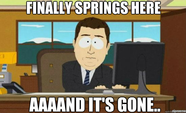 Finally springs here AAAAND IT'S gone.. - Finally springs here AAAAND IT'S gone..  aaaand its gone