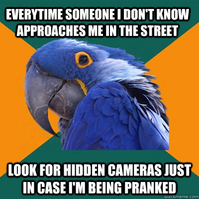 everytime someone i don't know approaches me in the street  Look for hidden cameras just in case i'm being pranked  Paranoid Parrot