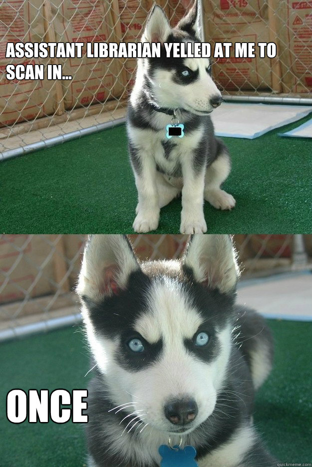 Assistant librarian yelled at me to scan in... once  Insanity puppy