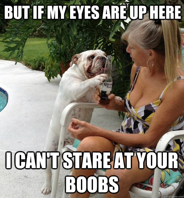 but if my eyes are up here i can't stare at your boobs  PUA Dog