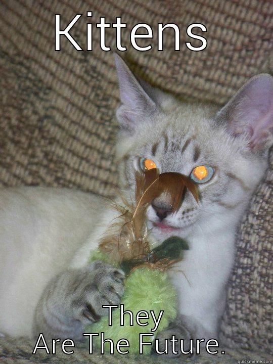KITTENS THEY ARE THE FUTURE.  Philosoraptor