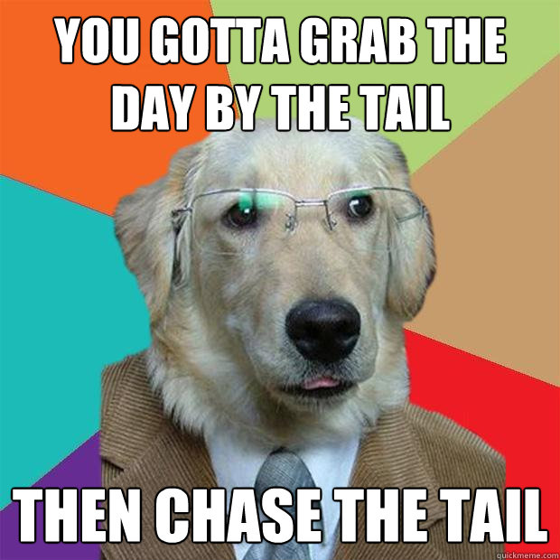 You gotta grab the day by the tail then chase the tail  Business Dog