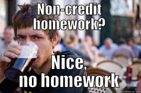 NON-CREDIT HOMEWORK? NICE, NO HOMEWORK Lazy College Senior