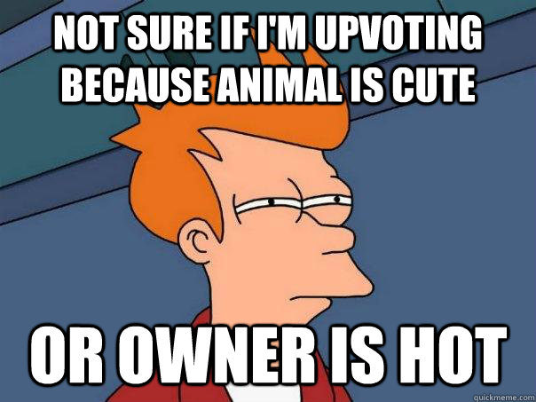 Not sure if I'm upvoting because animal is cute or owner is hot  Futurama Fry