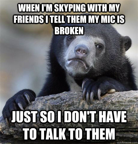 When I'm skyping with my friends I tell them my mic is broken  Just so i don't have to talk to them  German Bear Confession