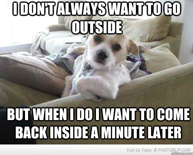 I don't always want to go outside But when I do I want to come back inside a minute later  The Most Interesting Dog in the World