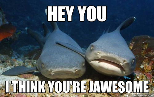 Hey You i think you're jawesome  Compassionate Shark Friend
