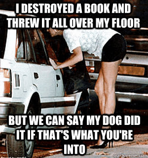 I destroyed a book and threw it all over my floor But we can say my dog did it if that's what you're into  Karma Whore