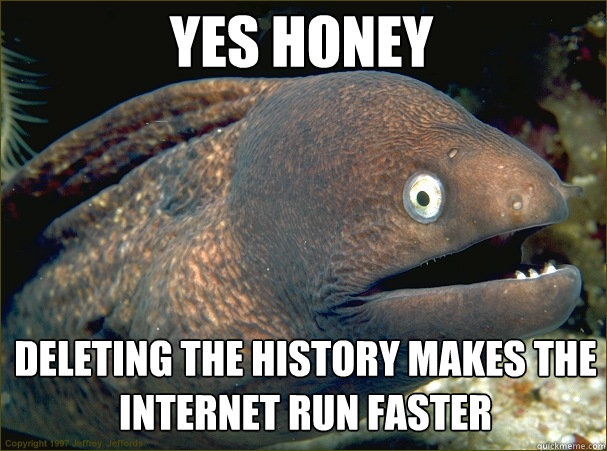 yes honey deleting the history makes the internet run faster  Caught in the act Moray