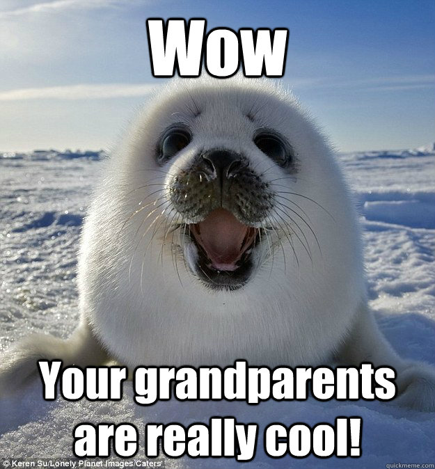 Wow Your grandparents are really cool! - Wow Your grandparents are really cool!  Easily Pleased Seal