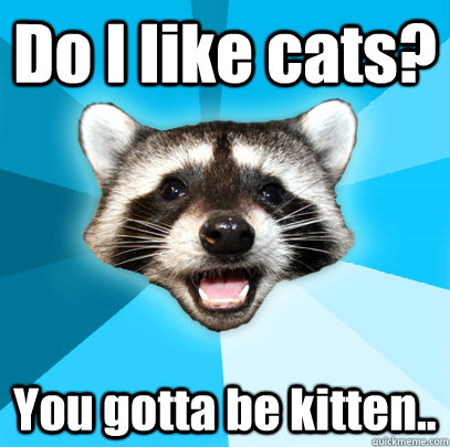 Do I like cats? You gotta be kitten..  Lame Pun Coon
