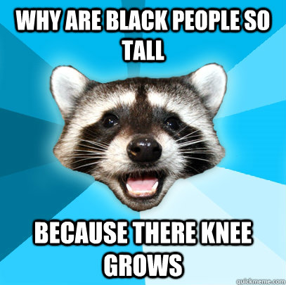 why are black people so tall because there knee grows   Lame Pun Coon