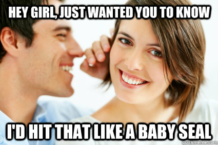 Hey girl, just wanted you to know I'd hit that like a baby seal  Bad Pick-up line Paul