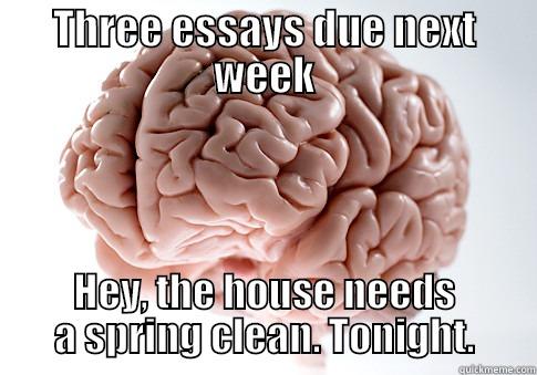Who knew we liked housework, brain? - THREE ESSAYS DUE NEXT WEEK HEY, THE HOUSE NEEDS A SPRING CLEAN. TONIGHT. Scumbag Brain
