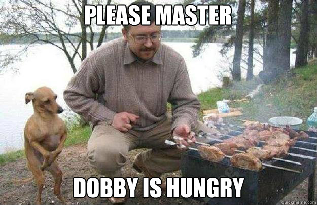 Please Master  Dobby is Hungry   
