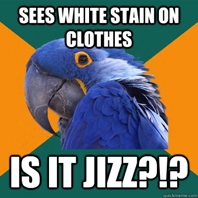 Sees white stain on clothes Is it jizz?!?  Paranoid Parrot