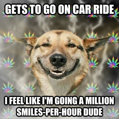 Gets to go on car ride I feel like I'm going a million smiles-per-hour dude  Stoner Dog