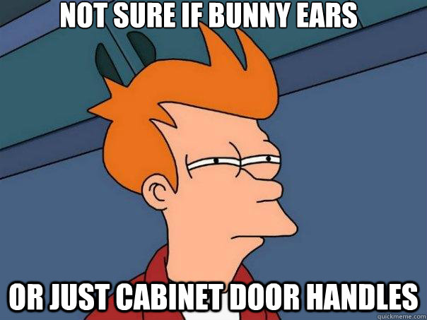 Not sure if bunny ears Or just cabinet door handles   Futurama Fry