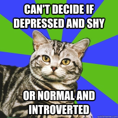 can't decide if depressed and shy or normal and introverted - can't decide if depressed and shy or normal and introverted  Introvert Cat