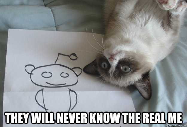  They will never know the real me -  They will never know the real me  Sudden Clarity Grumpy Cat