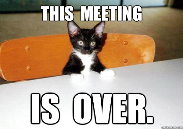 THIS  MEETING IS  OVER. - THIS  MEETING IS  OVER.  Executive Cat