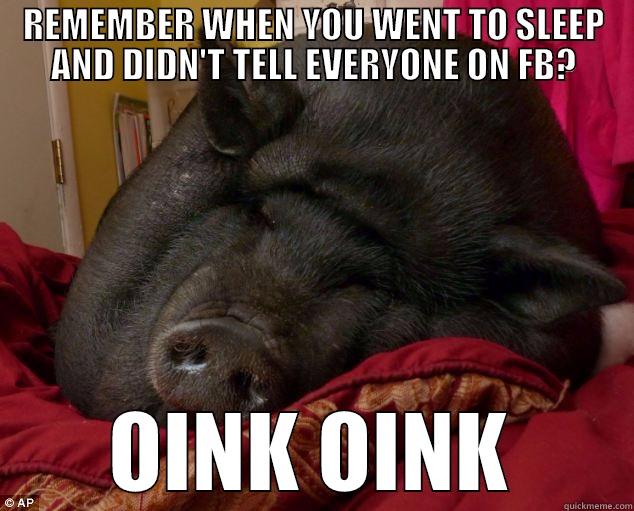 REMEMBER WHEN YOU WENT TO SLEEP AND DIDN'T TELL EVERYONE ON FB? OINK OINK Misc
