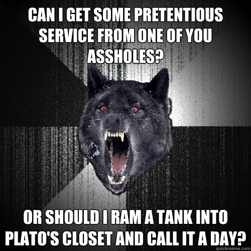 Can I get some pretentious service from one of you assholes? Or should I ram a tank into Plato's Closet and call it a day?  Insanity Wolf