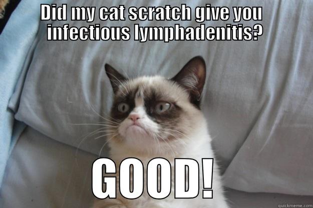 DID MY CAT SCRATCH GIVE YOU   INFECTIOUS LYMPHADENITIS? GOOD! Grumpy Cat