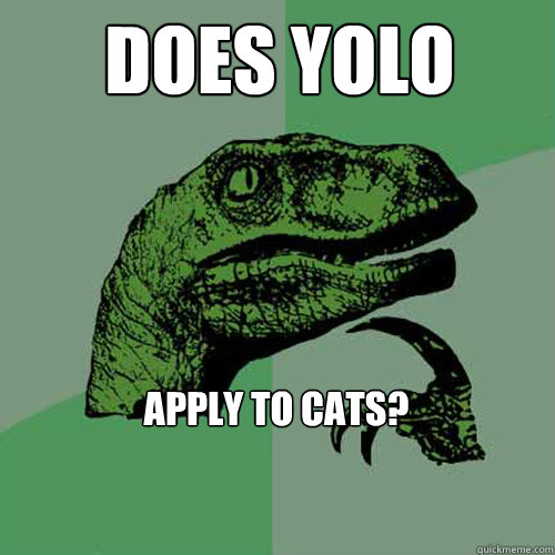 Does YOLO  apply to cats?  Philosoraptor